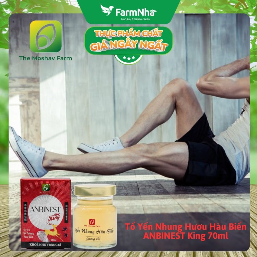 (Combo 6) Tổ Yến Nhung Hươu Hàu Biển ANBINEST King 70ml – Sức Mạnh Sinh Lực Cho Phái Mạnh