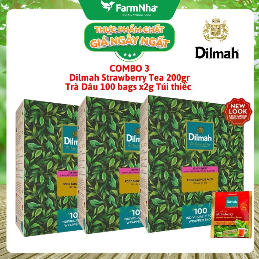 (Combo 3) Trà Dilmah Strawberry hương Dâu 200g 100 túi x 2g Túi Bạc Riêng Biệt - Hương Vị Dâu Tươi Ngọt Ngào