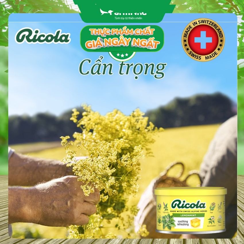 (Combo 3) Kẹo Ricola Lemon Mint Herb 100gr Hộp Thiếc - Ngậm ho vị Chanh Bạc Hà Thảo Mộc từ Thụy Sĩ