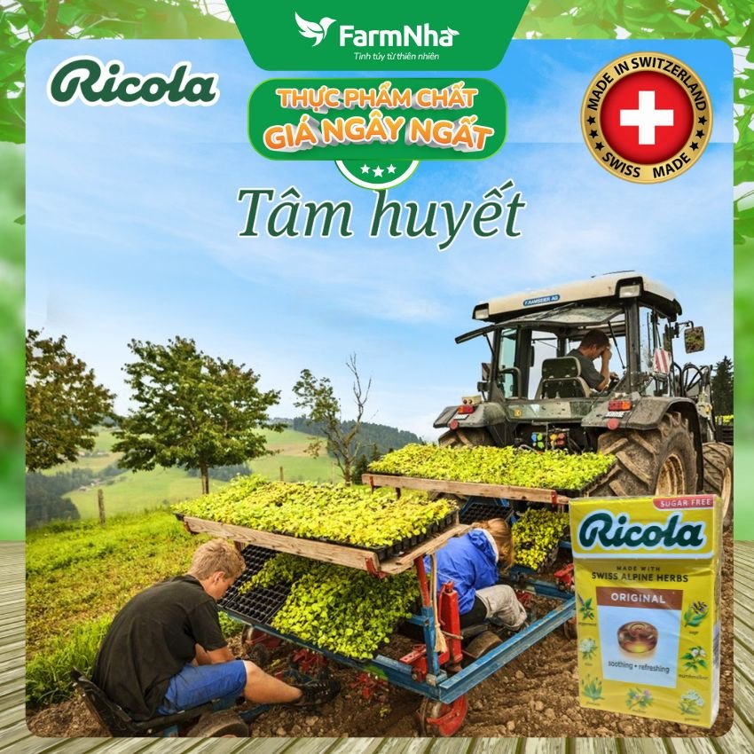 (Combo 3) Kẹo Ricola Original Herb Sugar Free 40g Hộp Giấy Không Đường – Dịu Họng, Giảm Ho, Thanh Mát Tự Nhiên