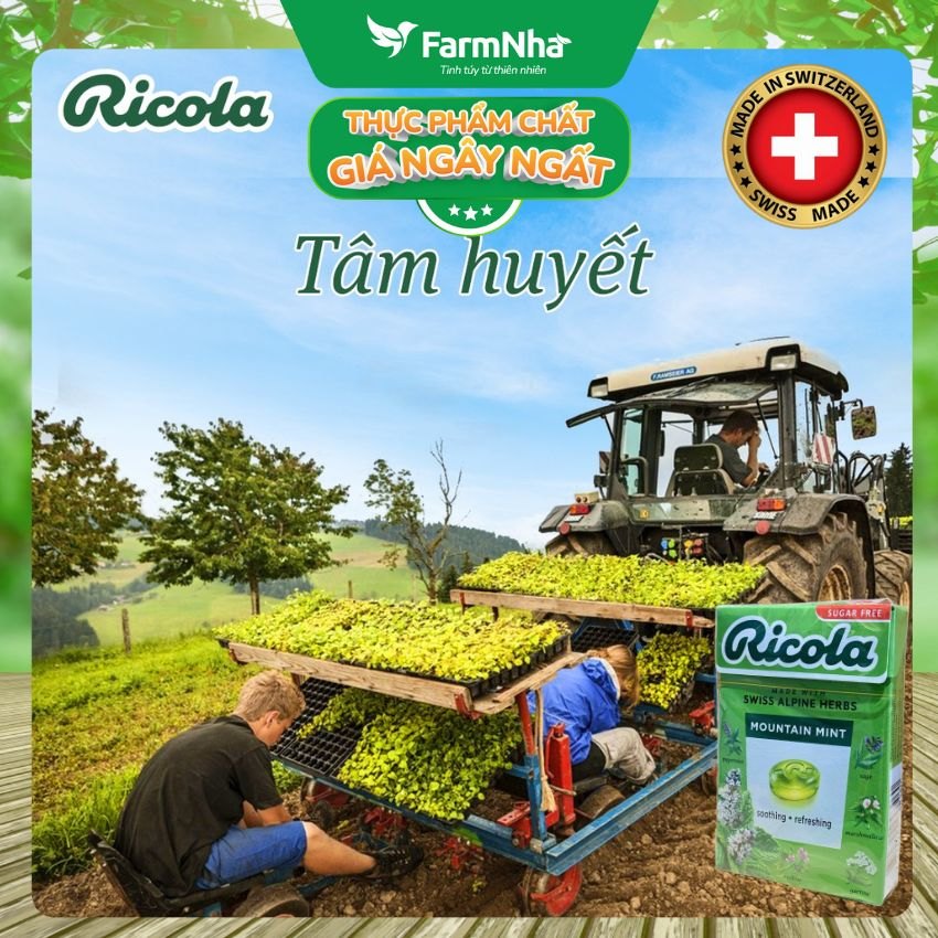(Combo 3) Kẹo Ricola Mountain Mint Sugar Free 40g Hộp Giấy Không Đường – Bạc Hà Núi Giảm Ho Mát Họng