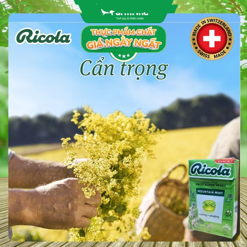 (Combo 3) Kẹo Ricola Mountain Mint Sugar Free 40g Hộp Giấy Không Đường – Bạc Hà Núi Giảm Ho Mát Họng