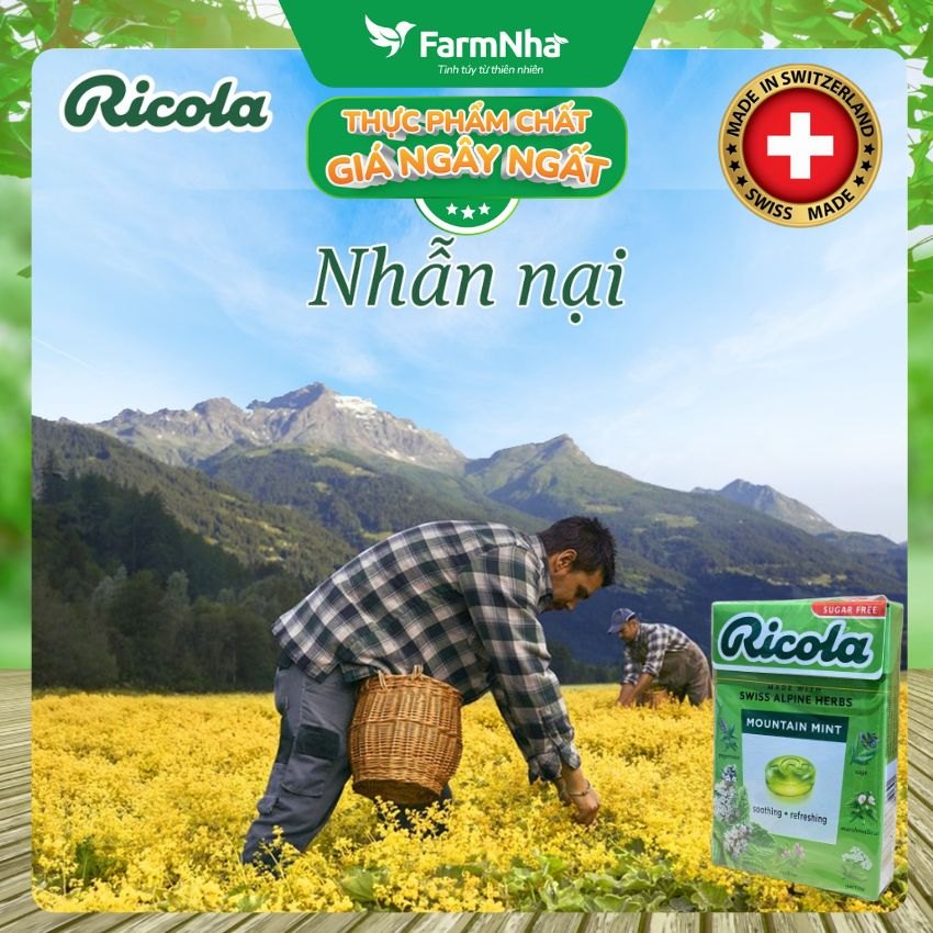 (Combo 3) Kẹo Ricola Mountain Mint Sugar Free 40g Hộp Giấy Không Đường – Bạc Hà Núi Giảm Ho Mát Họng