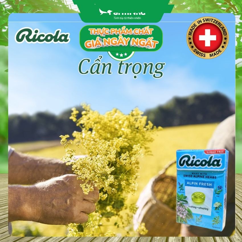 (Combo 3) Kẹo Ricola Alpin Fresh Sugar Free 40g Hộp Giấy Không Đường – Mát Lạnh Họng, Thông Cổ Tức Thì