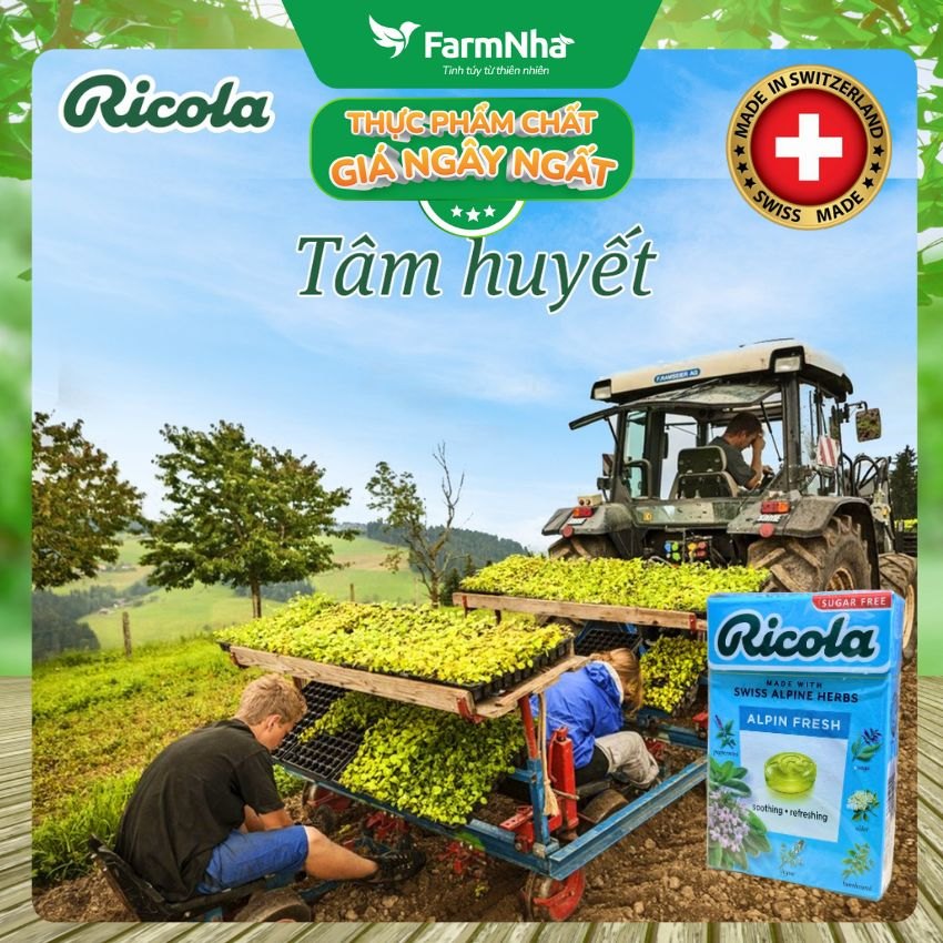 Kẹo Ricola Alpin Fresh Sugar Free 40g Hộp Giấy Không Đường – Mát Lạnh Họng, Thông Cổ Tức Thì