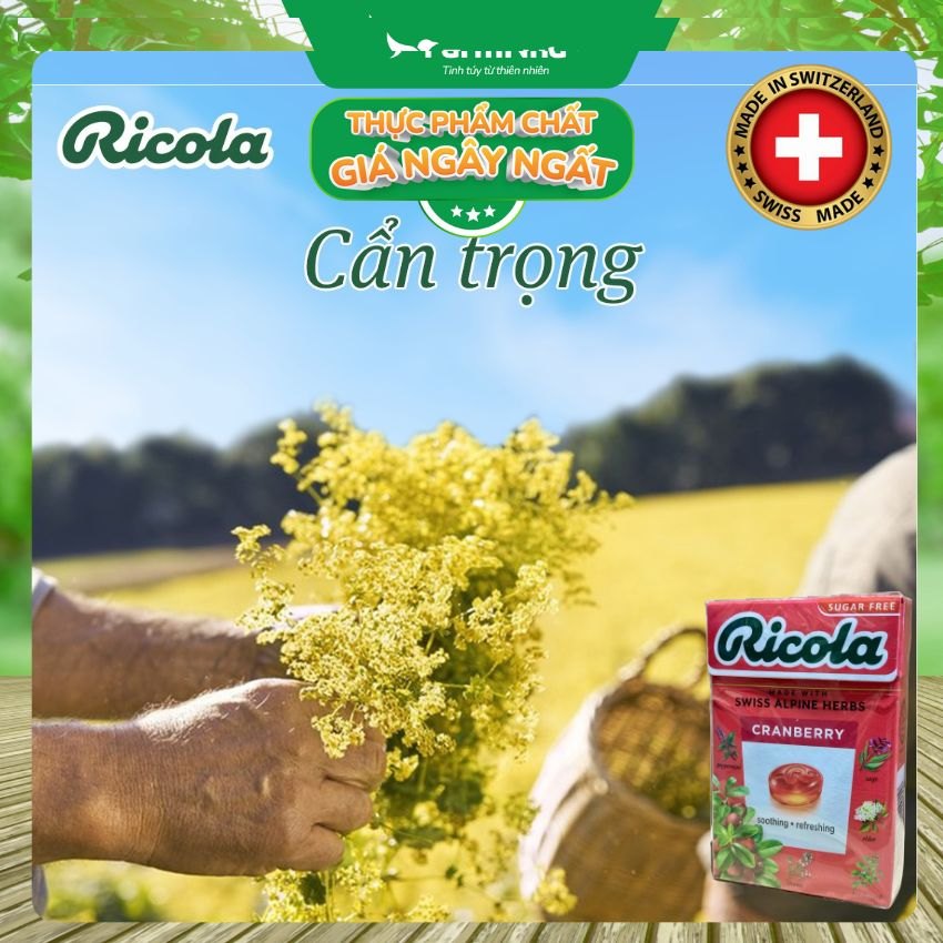 (Combo 2) Kẹo Ricola Cranberry Sugar Free 40g Hộp Giấy Không Đường – Quả Nam Việt Quất, Giảm Ho, Mát Họng, Thơm Miệng