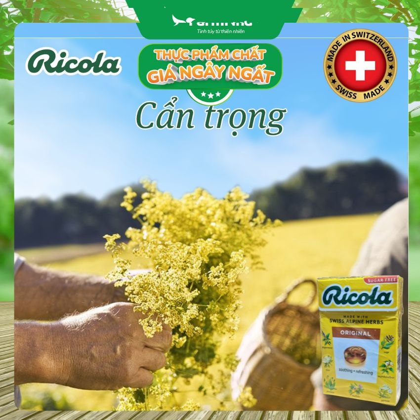 (Combo 3) Kẹo Ricola Original Herb Sugar Free 40g Hộp Giấy Không Đường – Dịu Họng, Giảm Ho, Thanh Mát Tự Nhiên