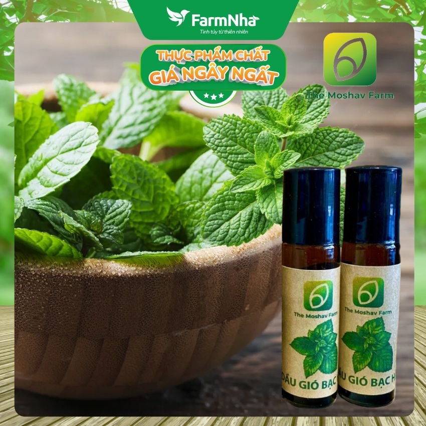 (Combo 3) Dầu Gió Bạc Hà Bi Lăn Moshav Farm Hộp 2x10ml Peppermint Medicated Oil – Thư Giãn và Sảng Khoái