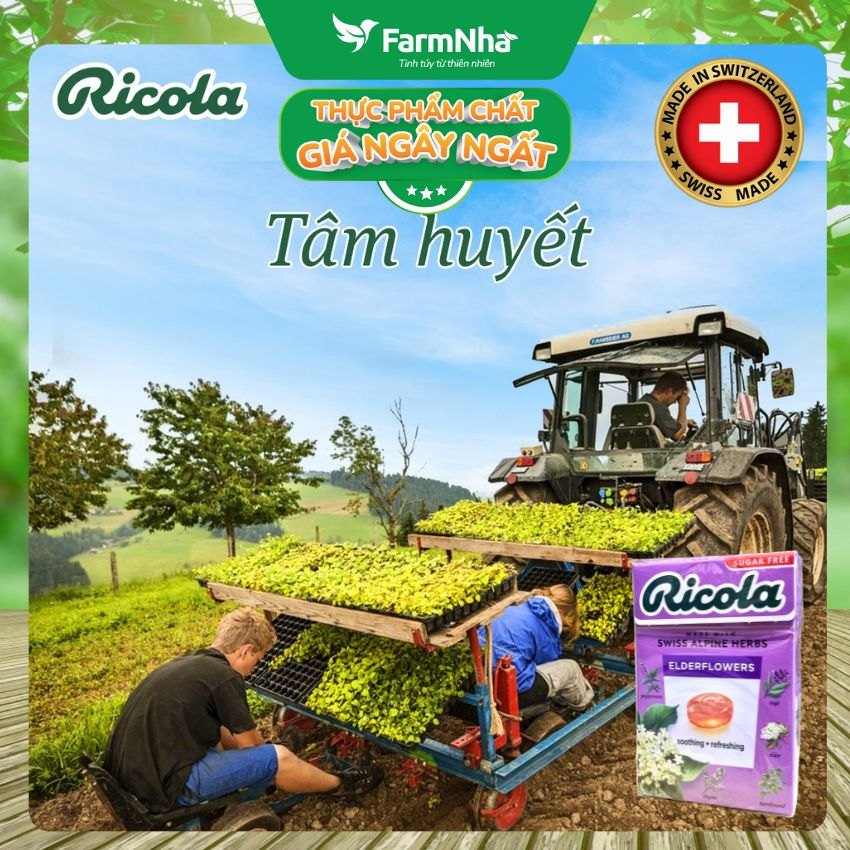 (Combo 3) Kẹo Ricola Elderflower Sugar Free 40g Hộp Giấy Không Đường - Hoa Elder Thanh Mát Dịu Họng