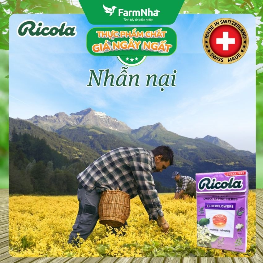 (Combo 3) Kẹo Ricola Elderflower Sugar Free 40g Hộp Giấy Không Đường - Hoa Elder Thanh Mát Dịu Họng