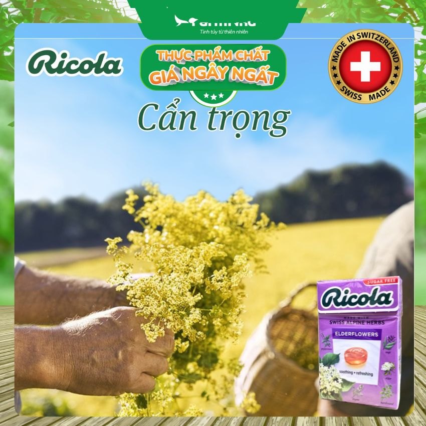 Kẹo Ricola Elderflower Sugar Free 40g Hộp Giấy Không Đường - Hoa Elder Thanh Mát Dịu Họng