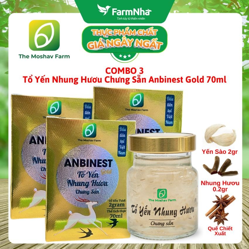 (Combo 3) Tổ Yến Nhung Hươu Chưng Sẵn ANBINEST Gold 70ml – Bổ Dưỡng Cao Cấp, Khỏe Từ Bên Trong