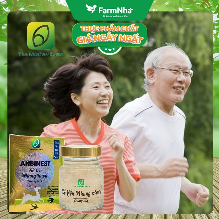(Combo 3) Tổ Yến Nhung Hươu Chưng Sẵn ANBINEST Gold 70ml – Bổ Dưỡng Cao Cấp, Khỏe Từ Bên Trong
