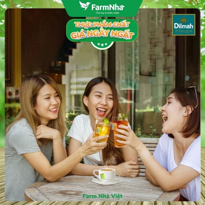 Trà Dilmah Strawberry Vị Dâu túi lọc 30g 20 túi x 1.5g - Tinh hoa trà Sri Lanka