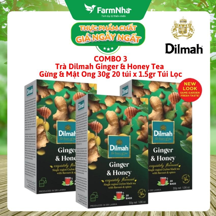 (Combo 3 hộp) Trà Dilmah Ginger & Honey vị Gừng và mật ong túi lọc 30g 20 túi x 1.5g - Tinh hoa trà Sri Lanka