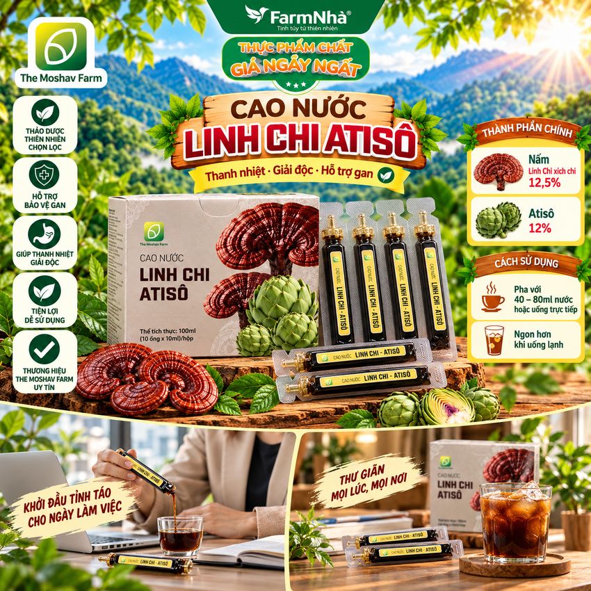 Cao Nước Linh Chi Atiso The Moshav Farm – Linh Chi Xích Chi & Atiso 10 Ống × 10ml