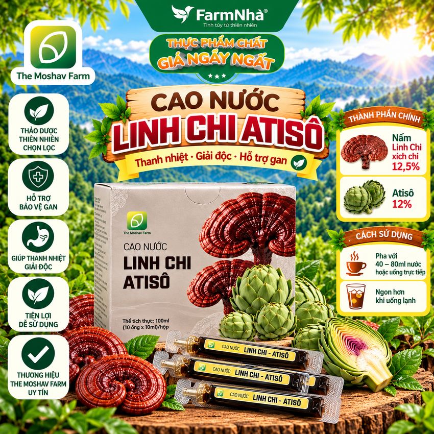Cao Nước Linh Chi Atiso The Moshav Farm – Linh Chi Xích Chi & Atiso 10 Ống × 10ml 
