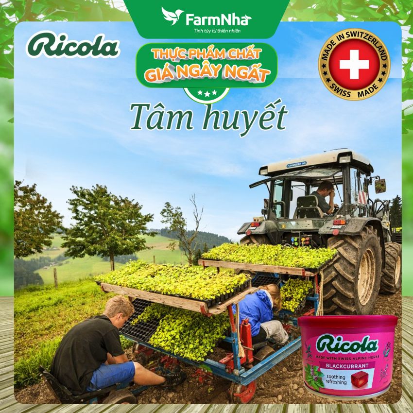 Kẹo Ngậm Ho Ricola Blackcurrant 100g Hộp Thiếc - Vị Lý Chua, Thảo Mộc Giảm Ho Thụy Sĩ