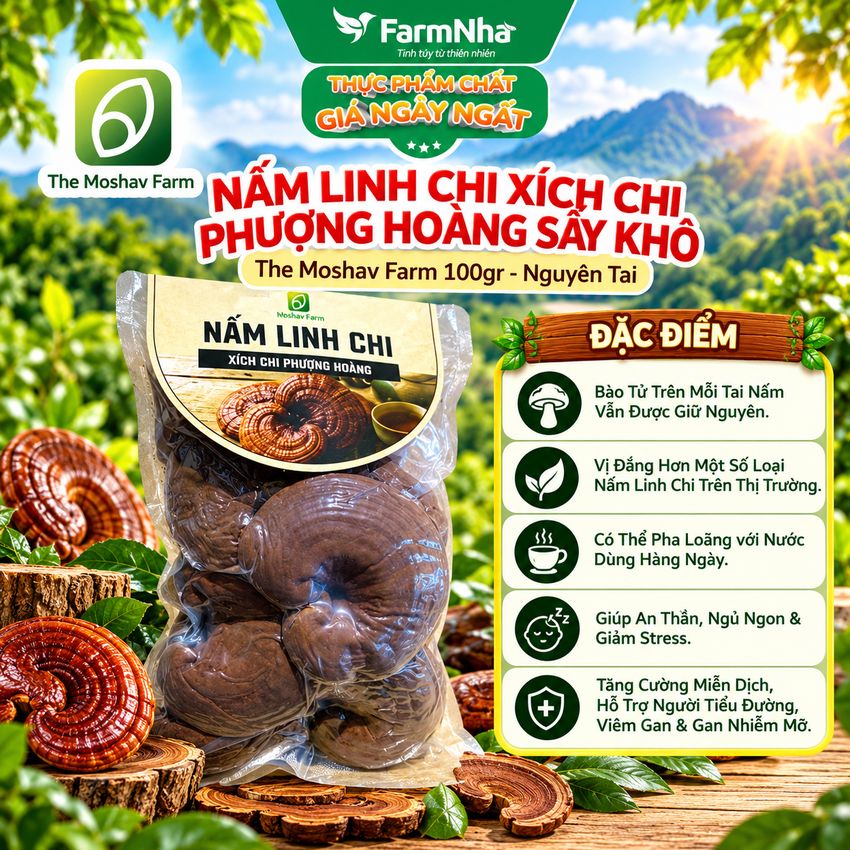 Nấm Linh Chi Xích Chi Phượng Hoàng Moshav Farm 100gr Nguyên Tai Sấy Khô - Hỗ Trợ Sức Khỏe Toàn Diện