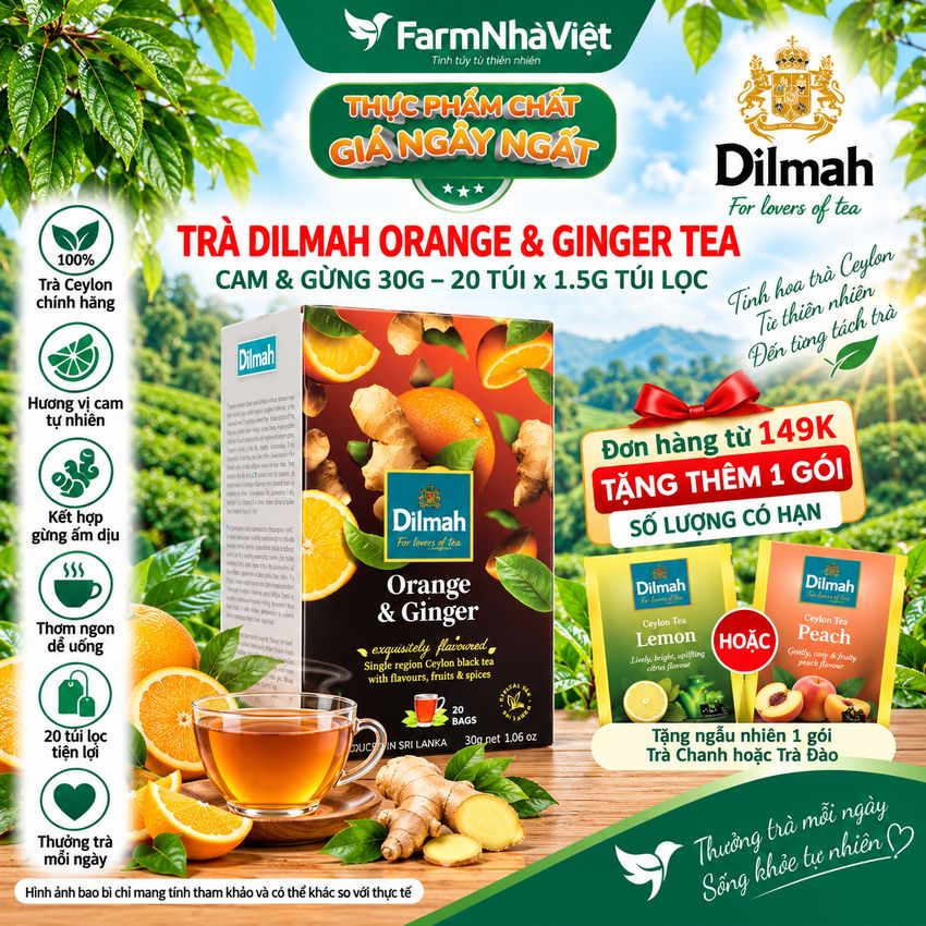 Trà Dilmah Orange & Ginger Vị Cam Gừng túi lọc 30g 20 túi x 1.5g - Tinh hoa trà Sri Lanka
