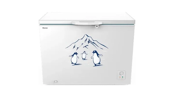 Tủ đông Hisense Inverter 300 lít FC380D4EWC1