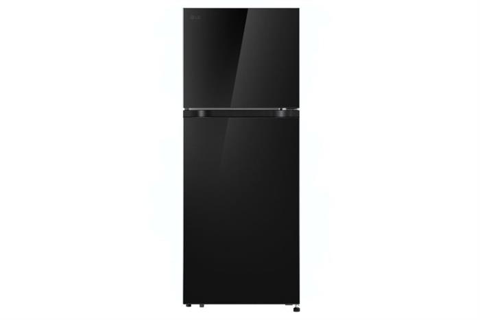 Tủ lạnh LG Inverter 217 lít T21BG