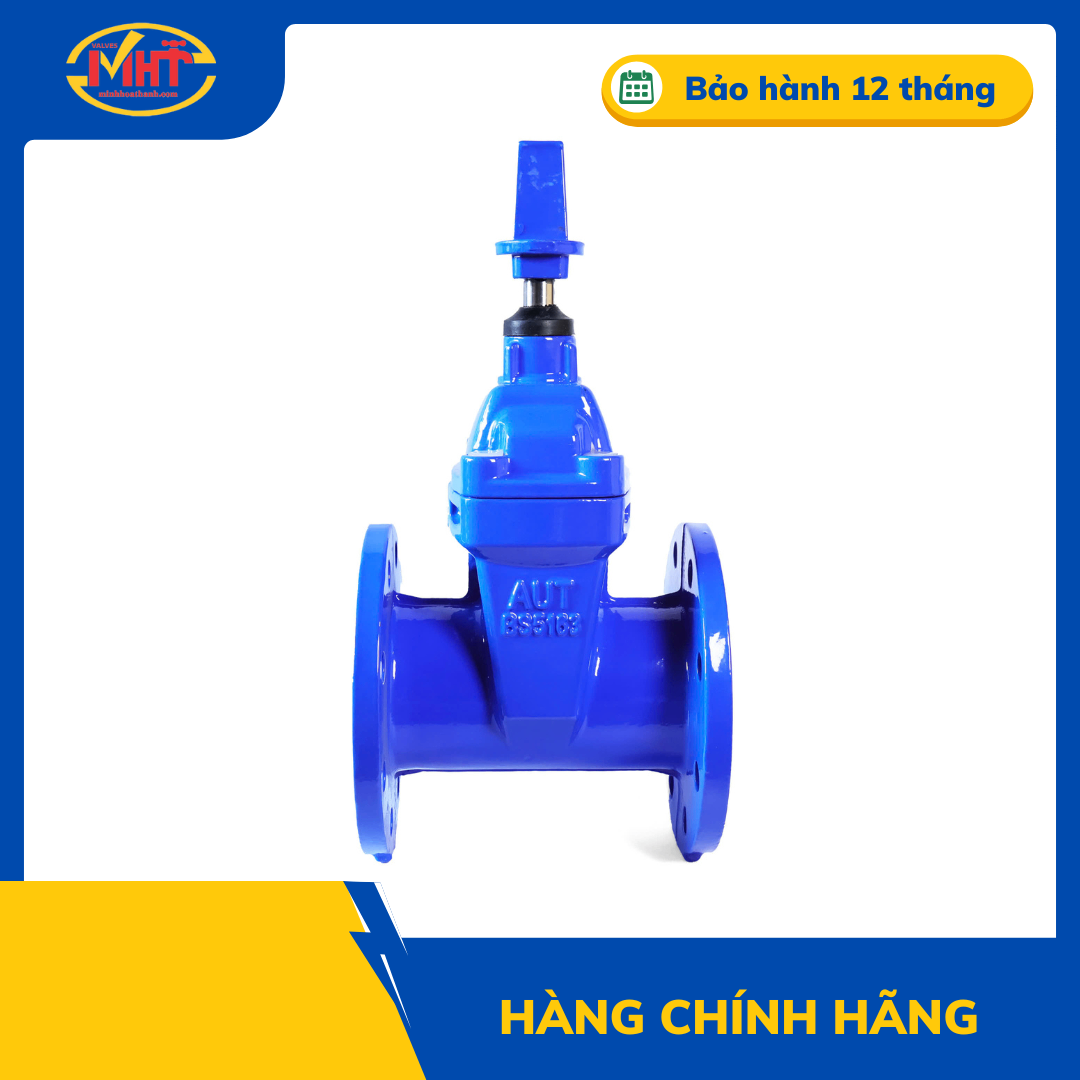 Van cổng ty chìm nắp chụp AUT | DN50 – DN1200