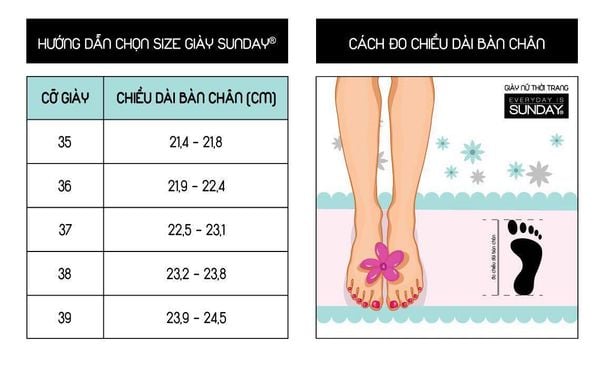Sunday Shoes Banner Home.1