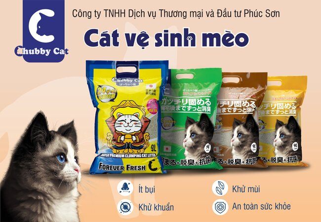 Banner chính 1