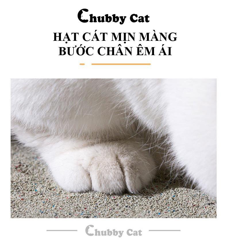 Cát vệ sinh đá núi lửa Volcanic Chubby Cat