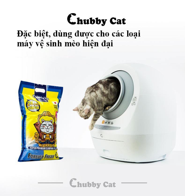 Cát vệ sinh đá núi lửa Volcanic Chubby Cat