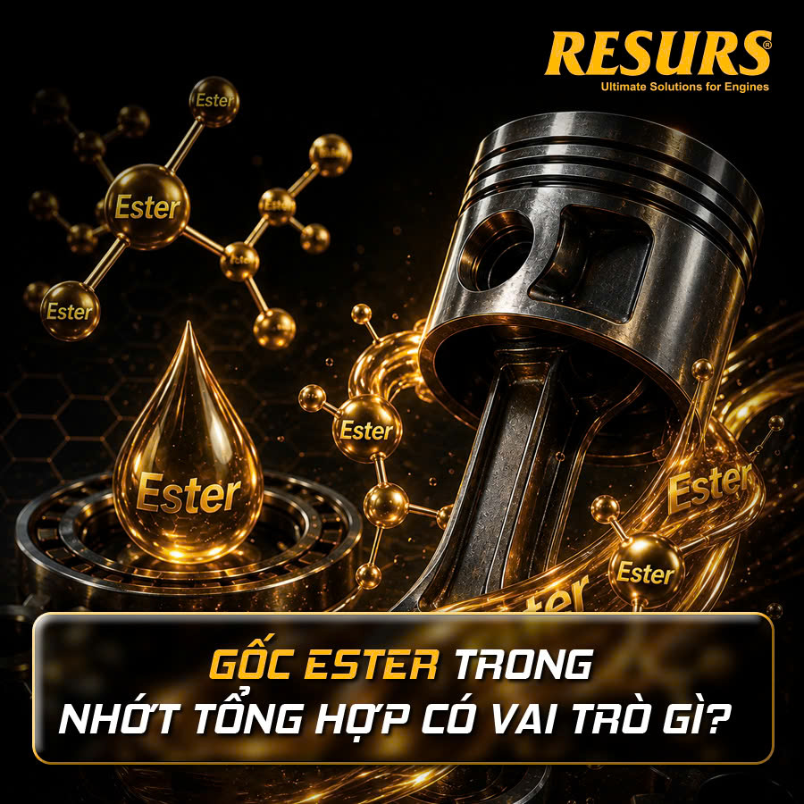 Ester trong nhớt tổng hợp có vai trò gì?