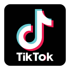 Tiktok, logo, brand icon - Free download on Iconfinder