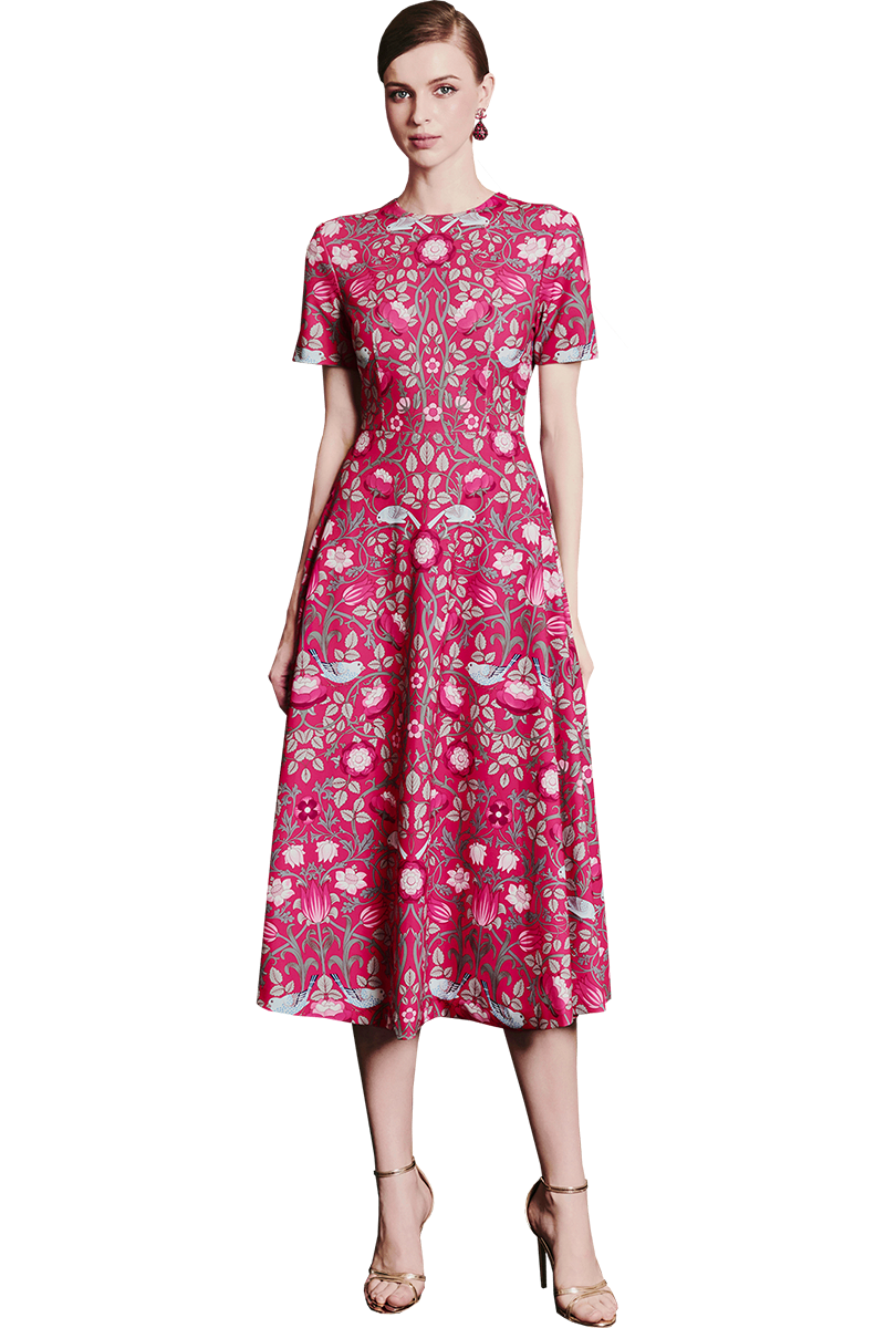 Roses on Magenta Printed A-line Dress