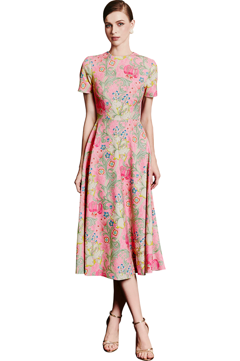 Garden on Pink Printed A-line Dress