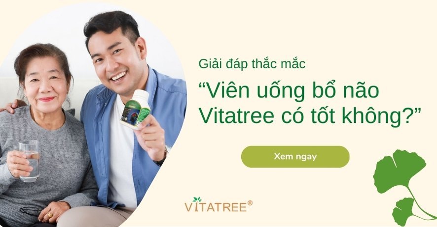 Giải đáp thắc mắc hàng trăm người “Viên uống bổ não Vitatree có tốt không?” 