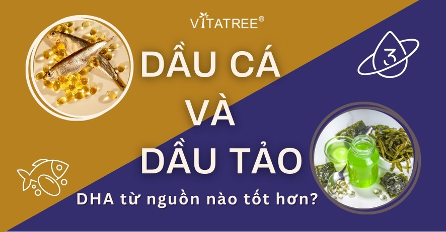 4 Nhận định sai lầm về DHA từ dầu cá và dầu tảo - Bạn có gặp phải? 