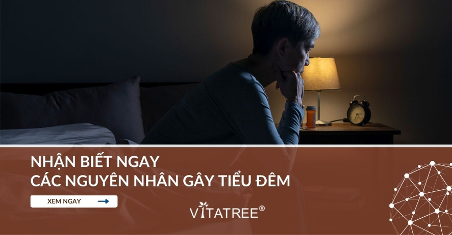 Nhận biết ngay các nguyên nhân tiểu đêm kéo dài và cách điều trị 