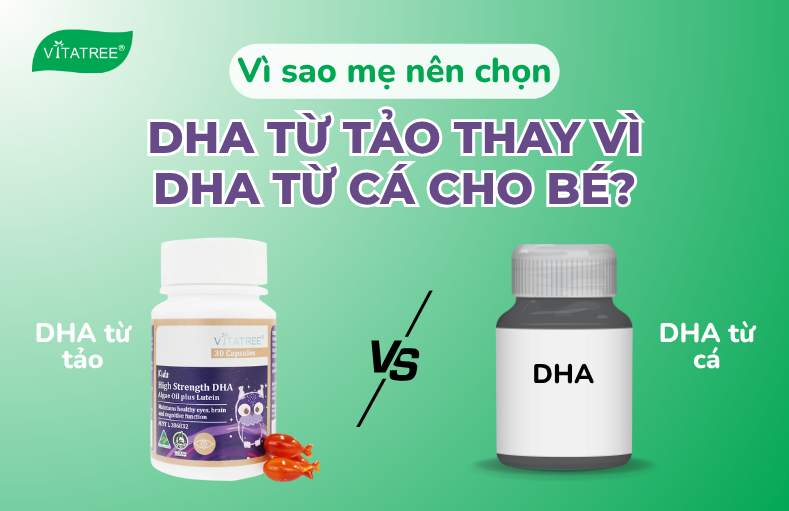 Vì sao mẹ nên chọn DHA từ tảo thay vì DHA từ cá cho bé? 