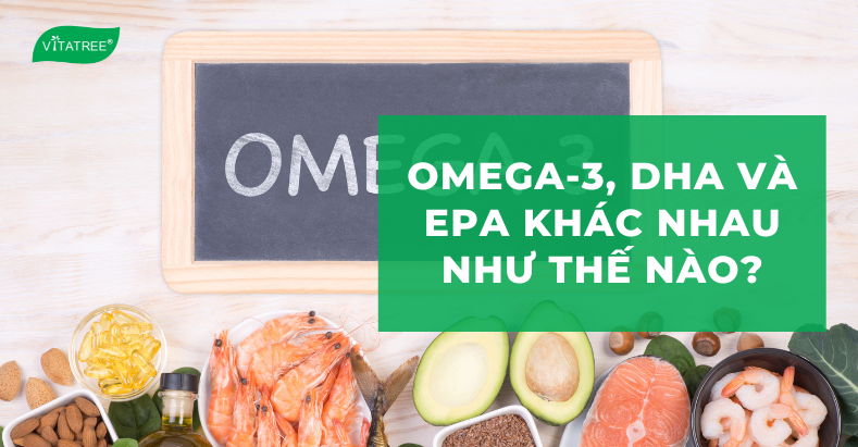 Omega-3, DHA và EPA khác nhau như thế nào? 