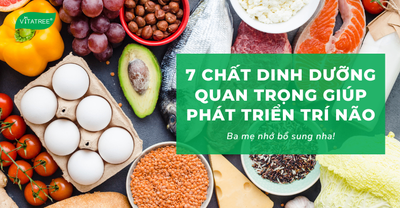 7 Chất dinh dưỡng giúp phát triển trí não và tăng khả năng tập trung ở trẻ 