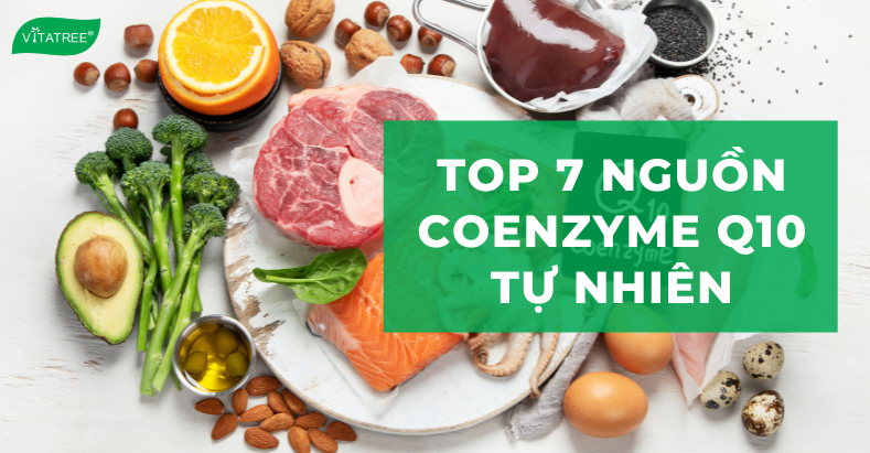 Coenzyme Q10 Có Trong Thực Phẩm Nào? Top 7 Nguồn Coenzyme Q10 Tự Nhiên 