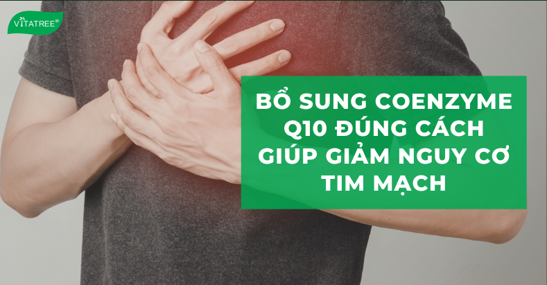 Bổ Sung Coenzyme Q10 Đúng Cách Giúp Giảm Nguy Cơ Mắc Bệnh Tim Mạch 