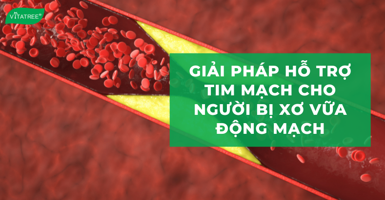 Giải pháp hỗ trợ tim mạch cho người bị xơ vữa động mạch 