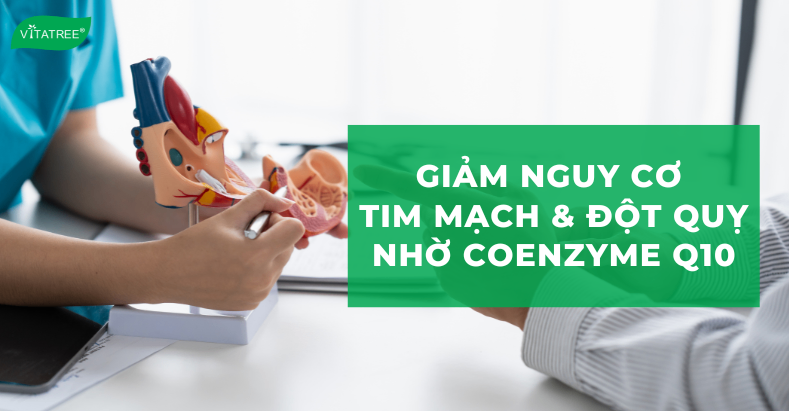 Giảm nguy cơ tim mạch và đột quỵ nhờ Coenzyme Q10 