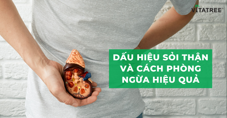 Dấu Hiệu Sỏi Thận Và Cách Phòng Ngừa Hiệu Quả