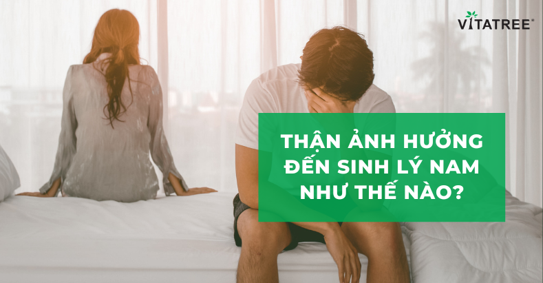 Thận Ảnh Hưởng Đến Sinh Lý Nam Như Thế Nào?
