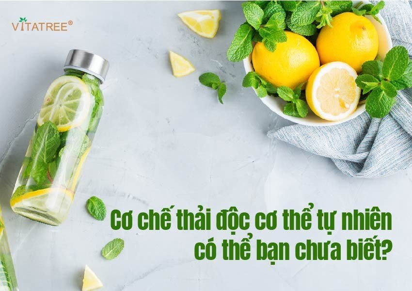 cách thải độc cơ thể