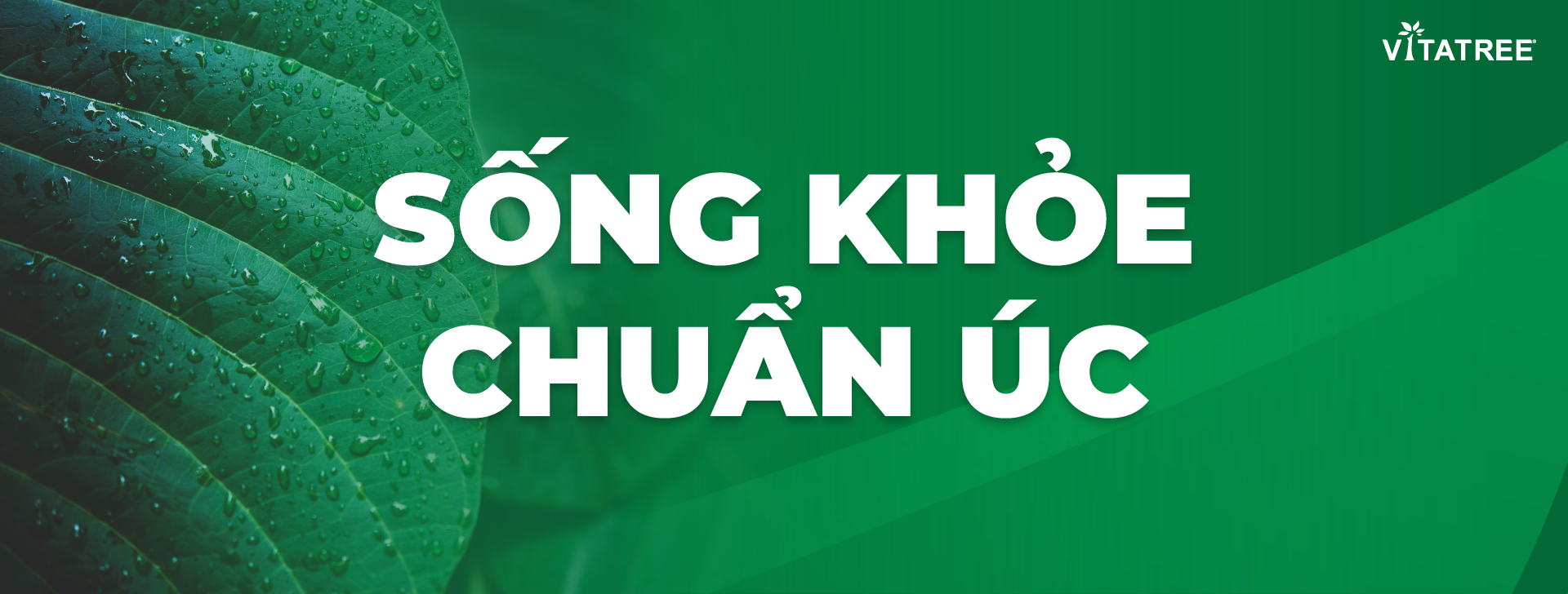 Banner brand slogan