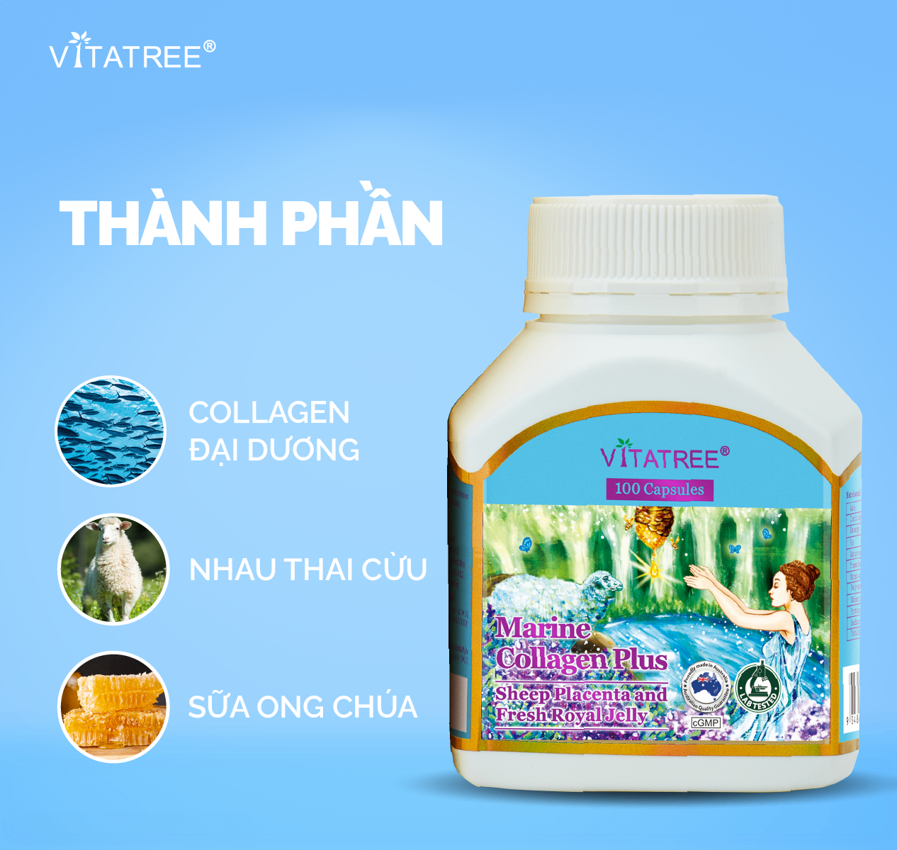 GIÁ BÁN VITATREE MARINE COLLAGEN PLUS CẬP NHẬT CHÍNH HÃNG TẠI VIỆT NAM